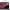 Apple MacBook Pro M4 Chip Laptop (2024)